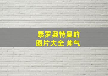 泰罗奥特曼的图片大全 帅气